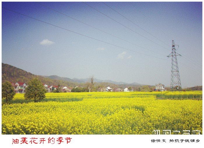 图片6.jpg