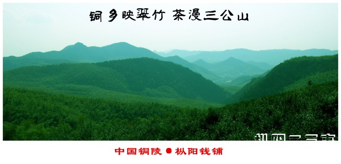 图片19.jpg