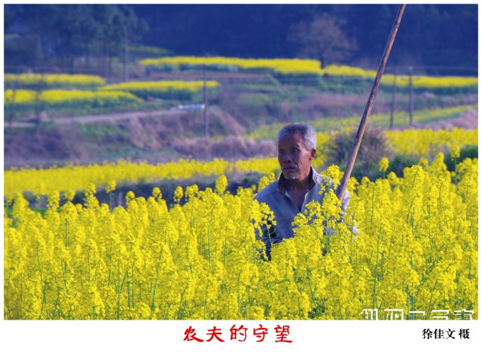 图片25.jpg