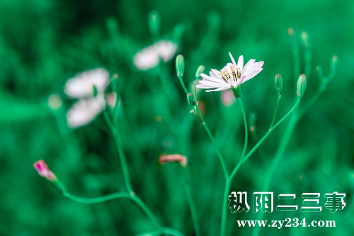 5F6899D1-8EF0-4F4D-A296-D27A0CA71E13.jpeg
