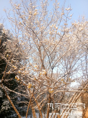 IMG_20201230_083511.jpg